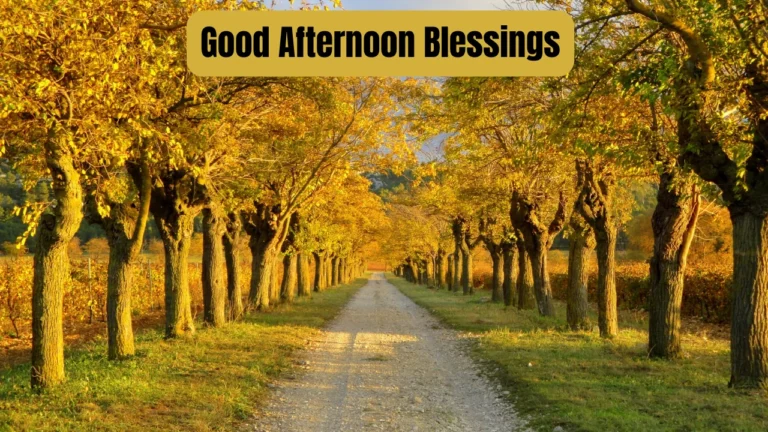 Good Afternoon Blessings
