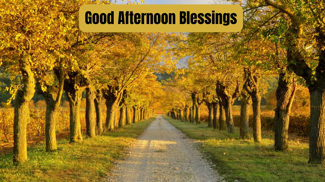 Good Afternoon Blessings