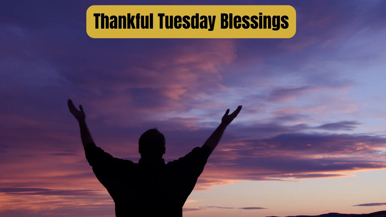 Thankful Tuesday Blessings