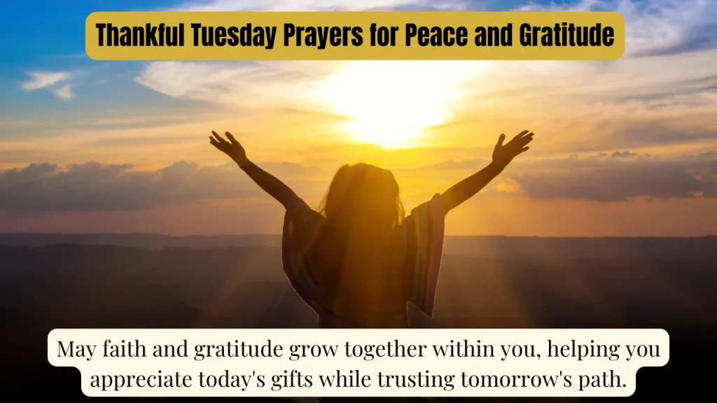 Thankful Tuesday Prayers for Peace and Gratitude