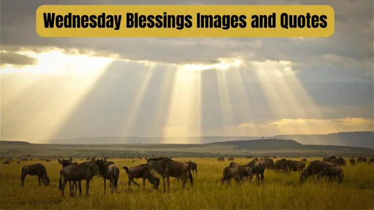 Wednesday Blessings Images and Quotes
