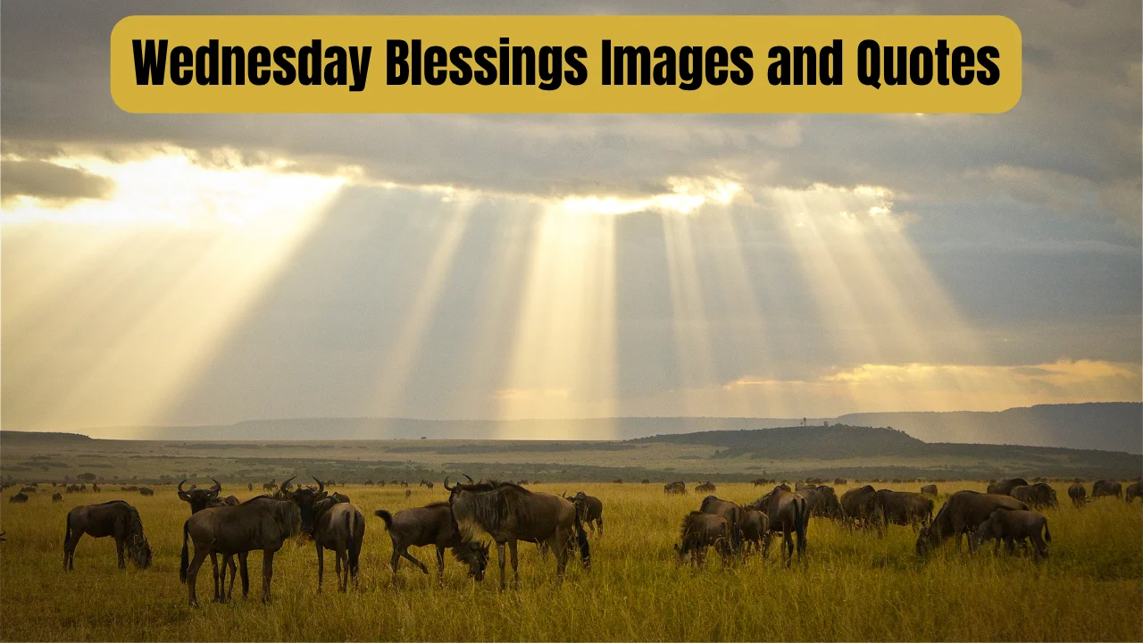 Wednesday Blessings Images and Quotes