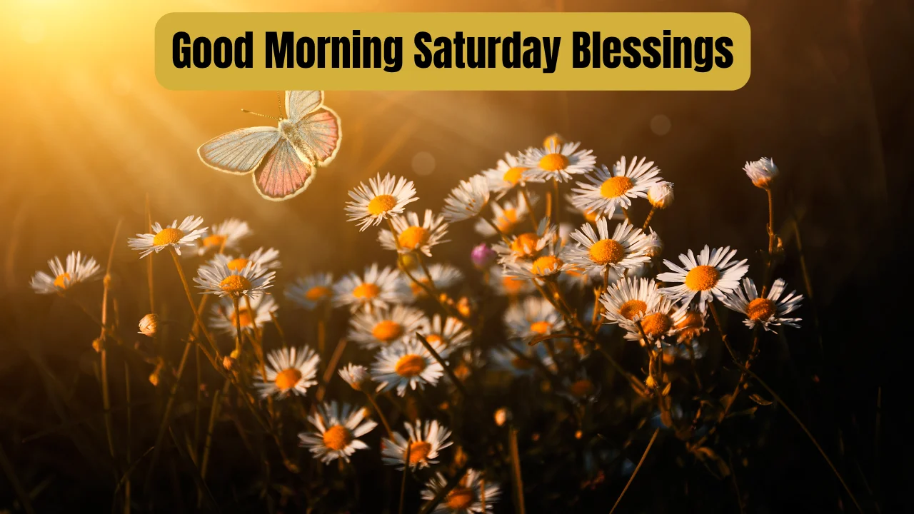 Good Morning Saturday Blessings