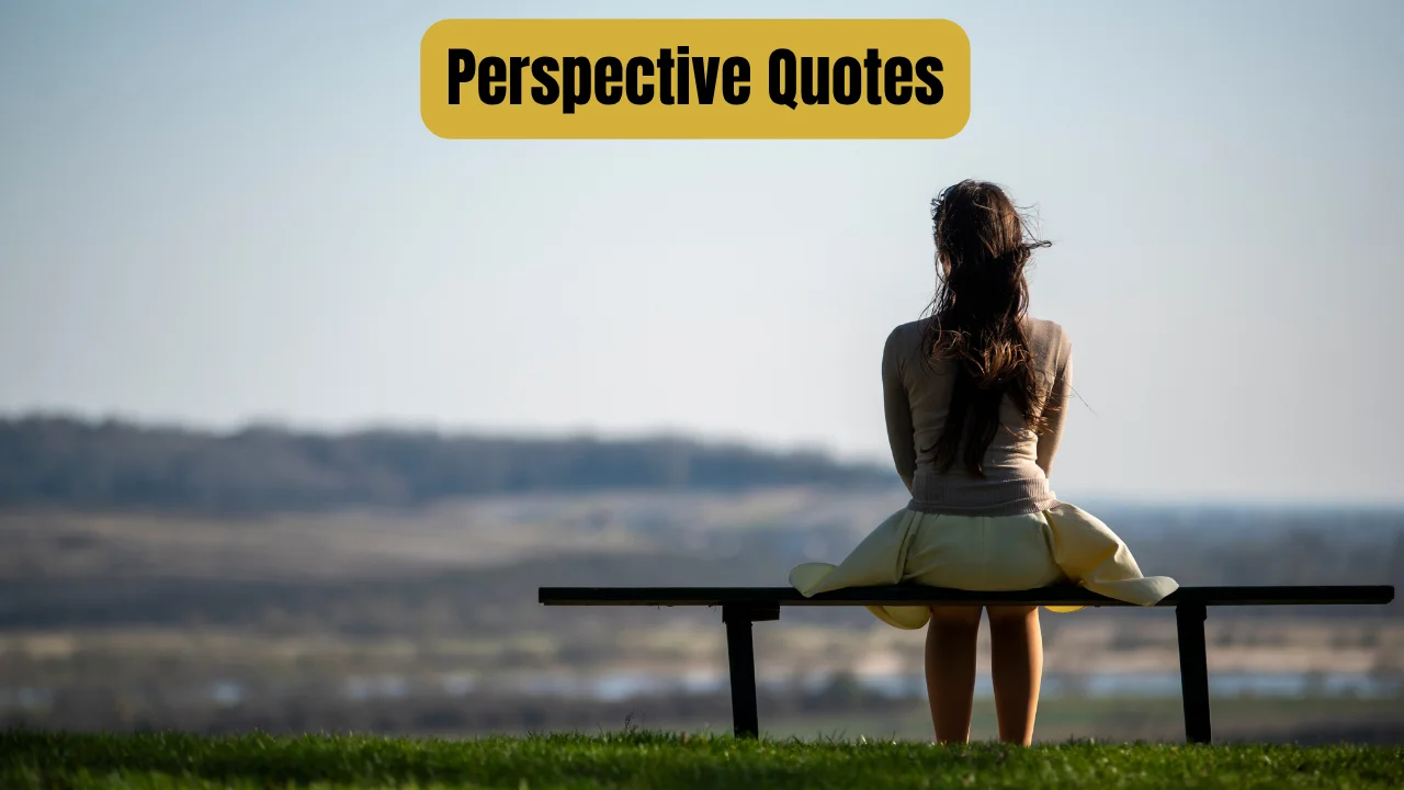 Perspective Quotes