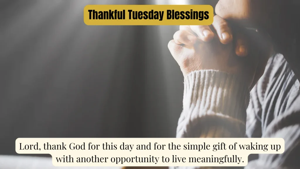 Thankful Tuesday Blessings