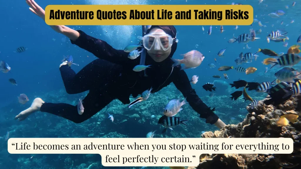 Adventure Quotes About Life and Taking Risks
