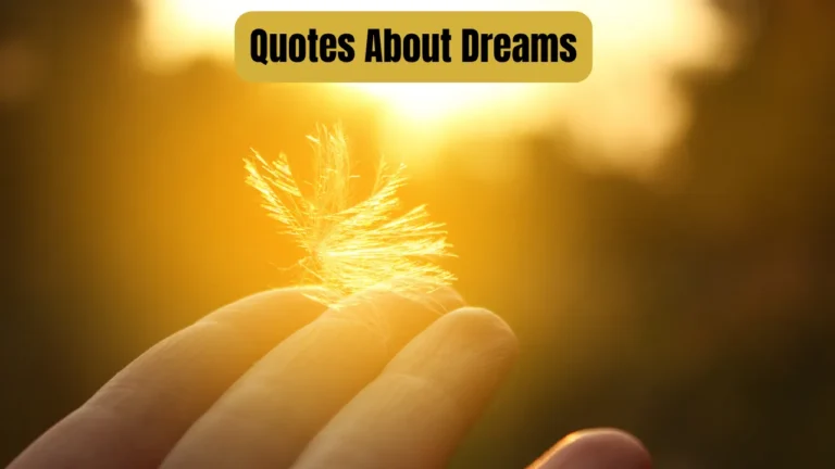 Quotes About Dreams